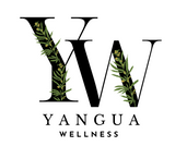 YW Logo